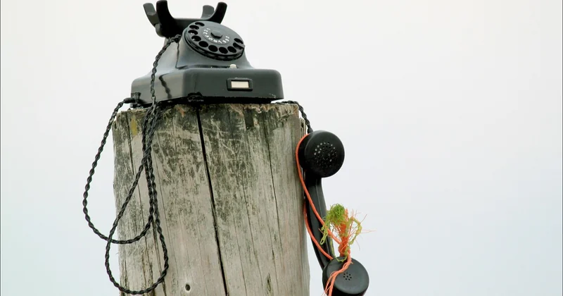 Les objets connectés qui survivent à l'enthousiasme initial
