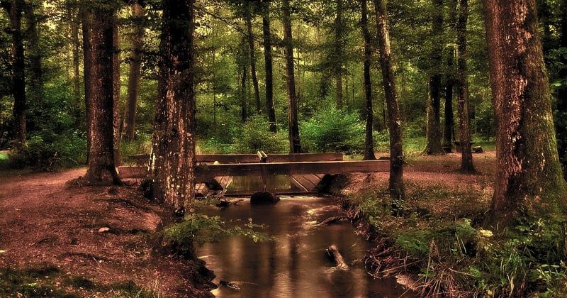 Déconnexion numérique : le secret d'un bien-être retrouvé